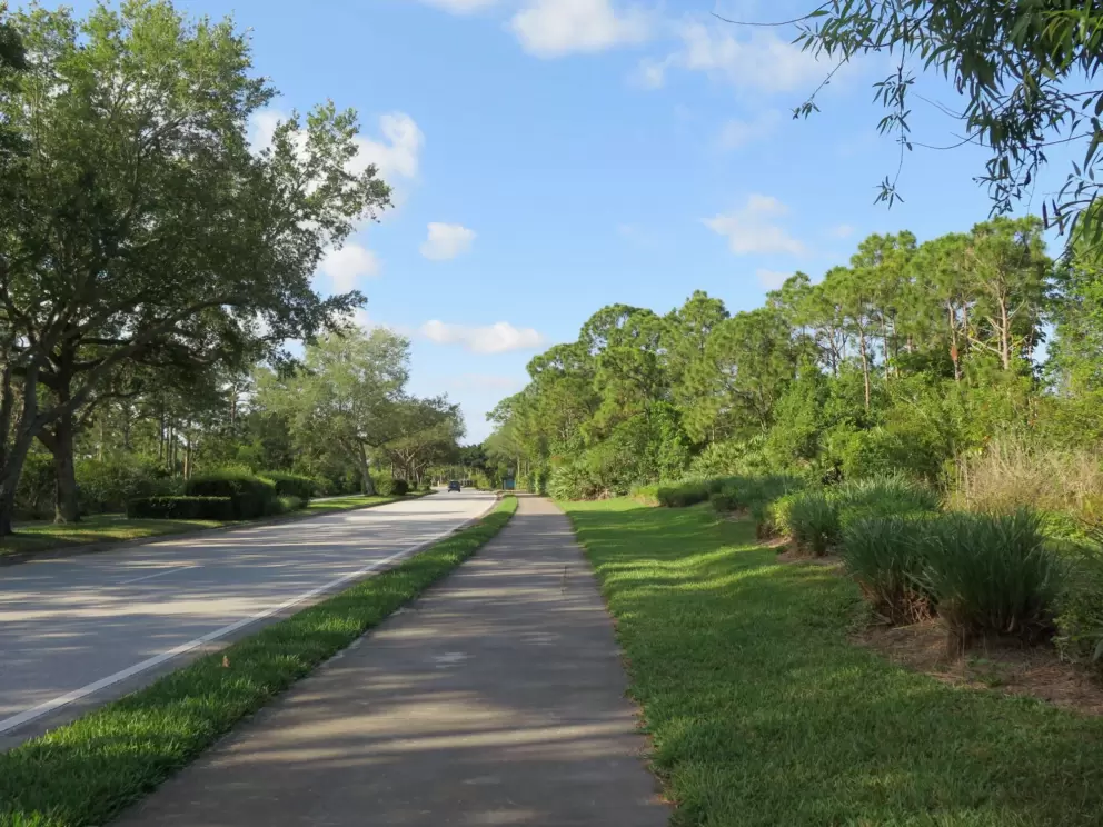 Shade on the path.