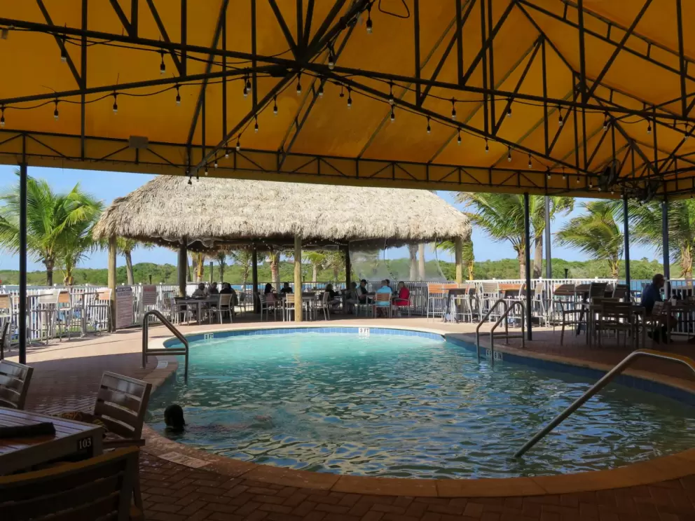 The pool under a yellow shade canopy.