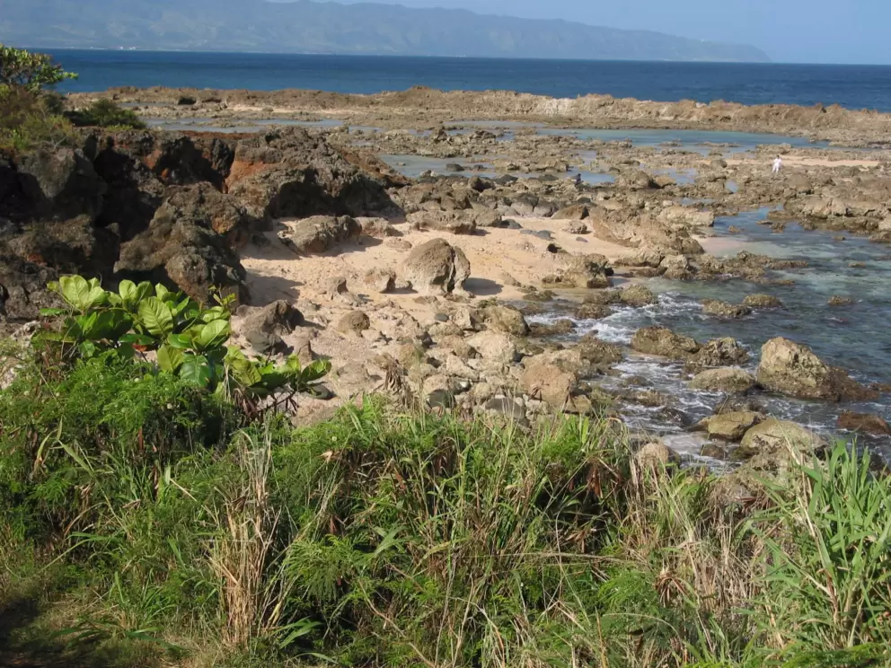 The view as you walk down the path to Shark's Cove. 