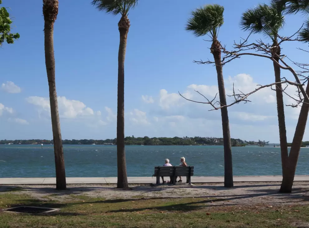 An elderly couple enjoys the breeze.
