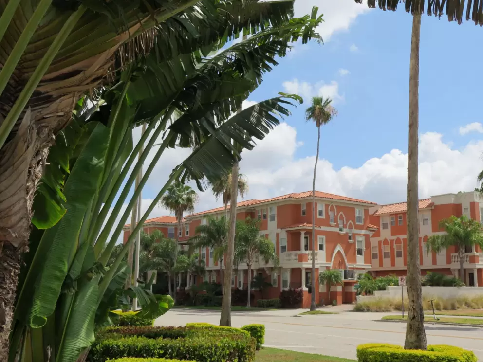 Banana trees and historic condos along Davis Blvd.