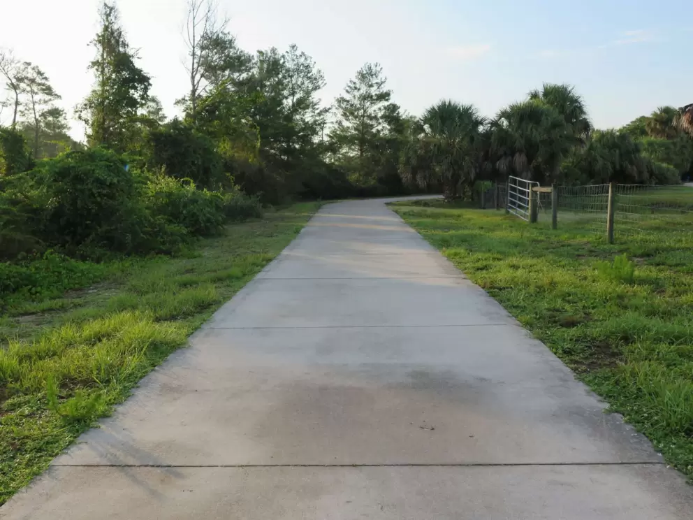 The beginning of the wide cement path.