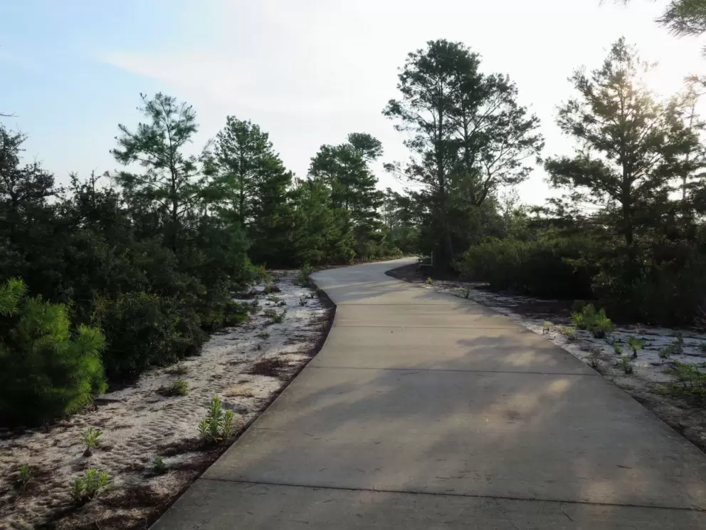 White sand beside the trail.