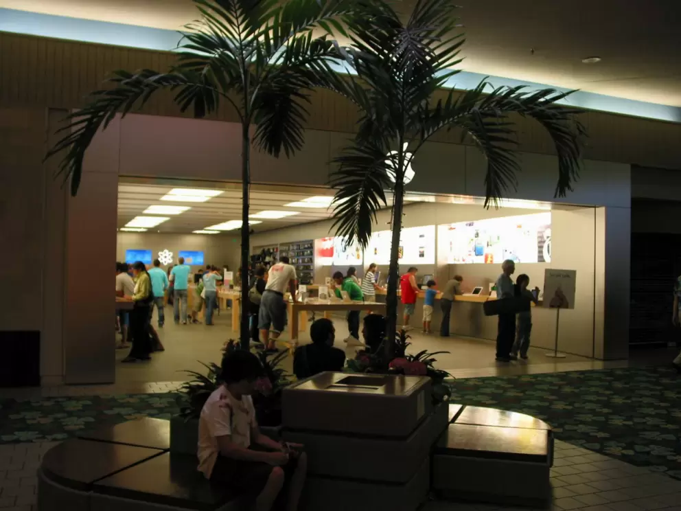 The Apple Store and a potted indoor palm.