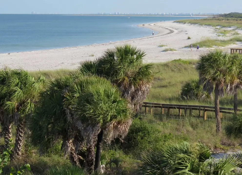 The cute curve of the beach. 