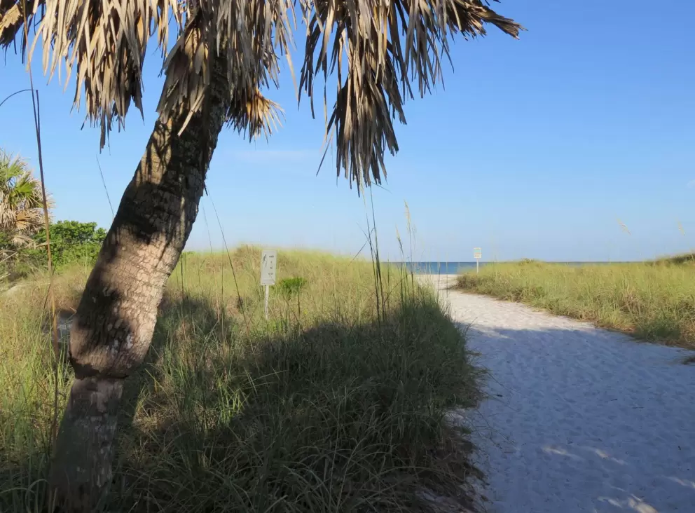 White sand leading to the beach.
