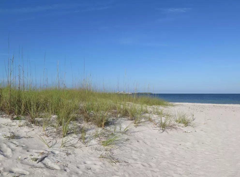 White sand, sea oats, and lovely water.