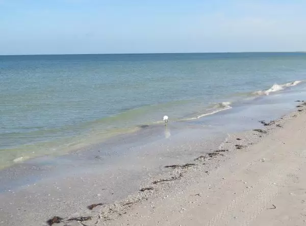 Clear water at the shore.