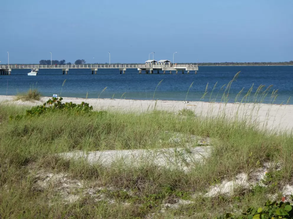 Sea oats and the pier. The color of the water always delights!