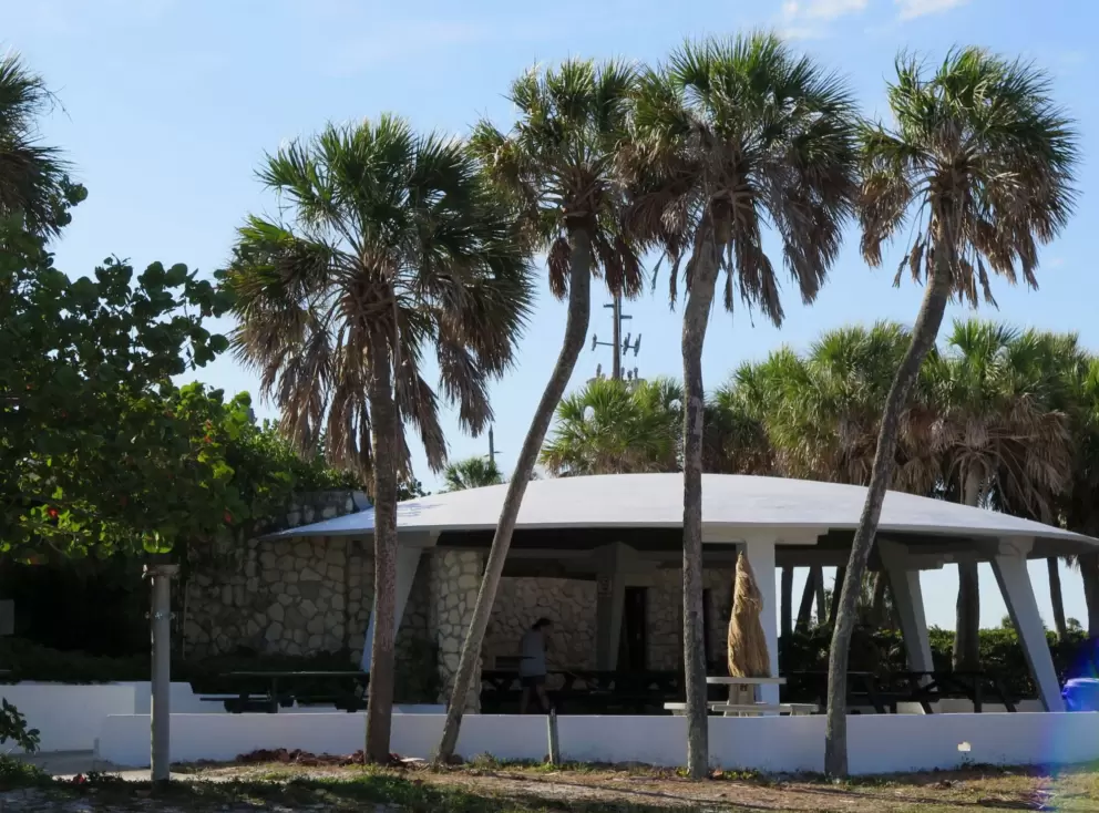 Space age snack building and palms.