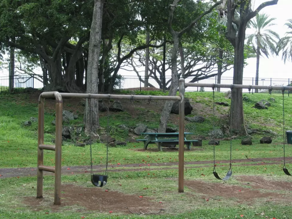 Baby swings, regular swings, and picnic tables under the beautiful old trees. See the old banyan tree up on the hill in the background.