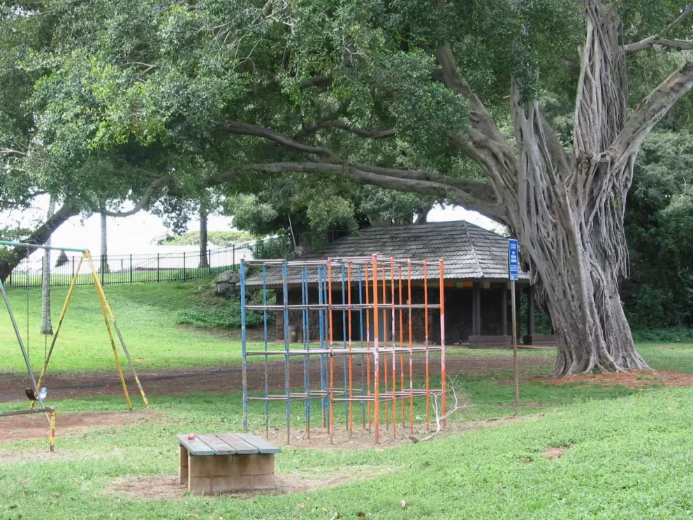 A square climber and a lovely tree.