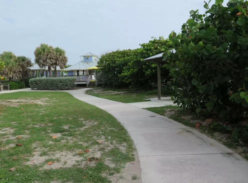 Sea grape trees, a picnic pavilion, and the cafe pavilion in the distance.