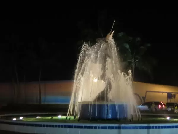The sailfish fountain at the roundabout, at night.