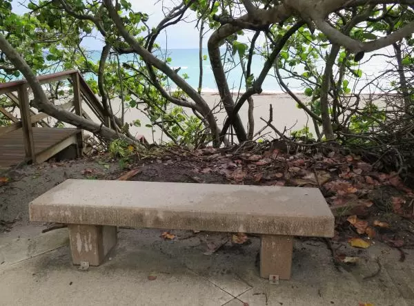 Bench under the seagrape trees, on Ocean Drive closer to Carlin Beach.