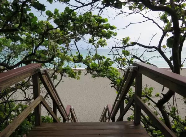 Archway of seagrape branches, over the stairs to the sand.