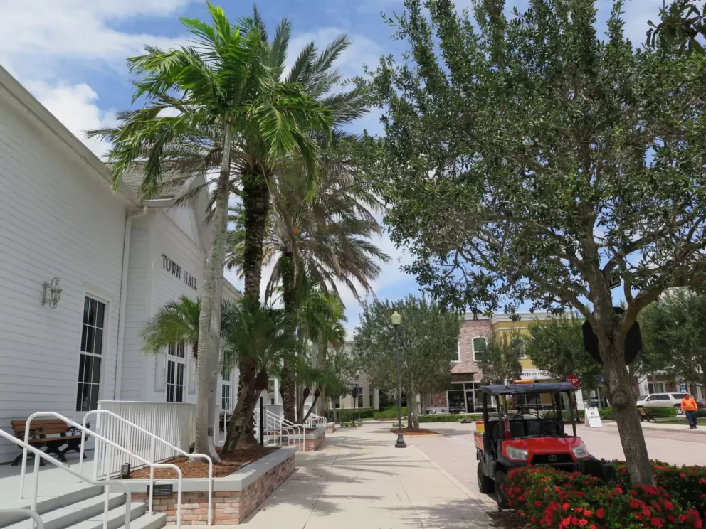 The town hall and gorgeous palm trees.