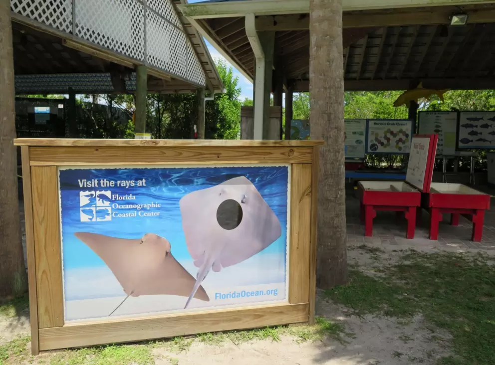 Kids can be a sting ray!