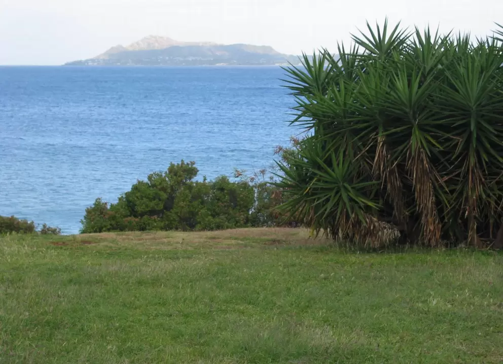 A grassy spot to sit with a picnic.