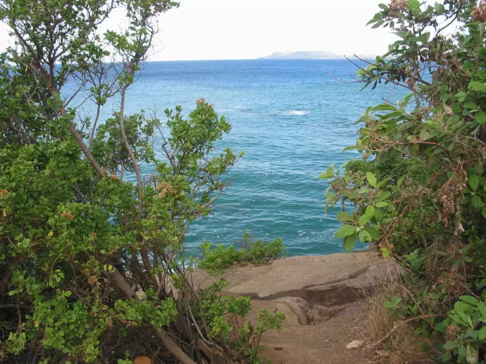 The reddish path and the ocean.