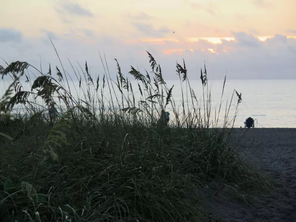 Sea oats at dawn. Bring your mossie spray, or a netted tent!