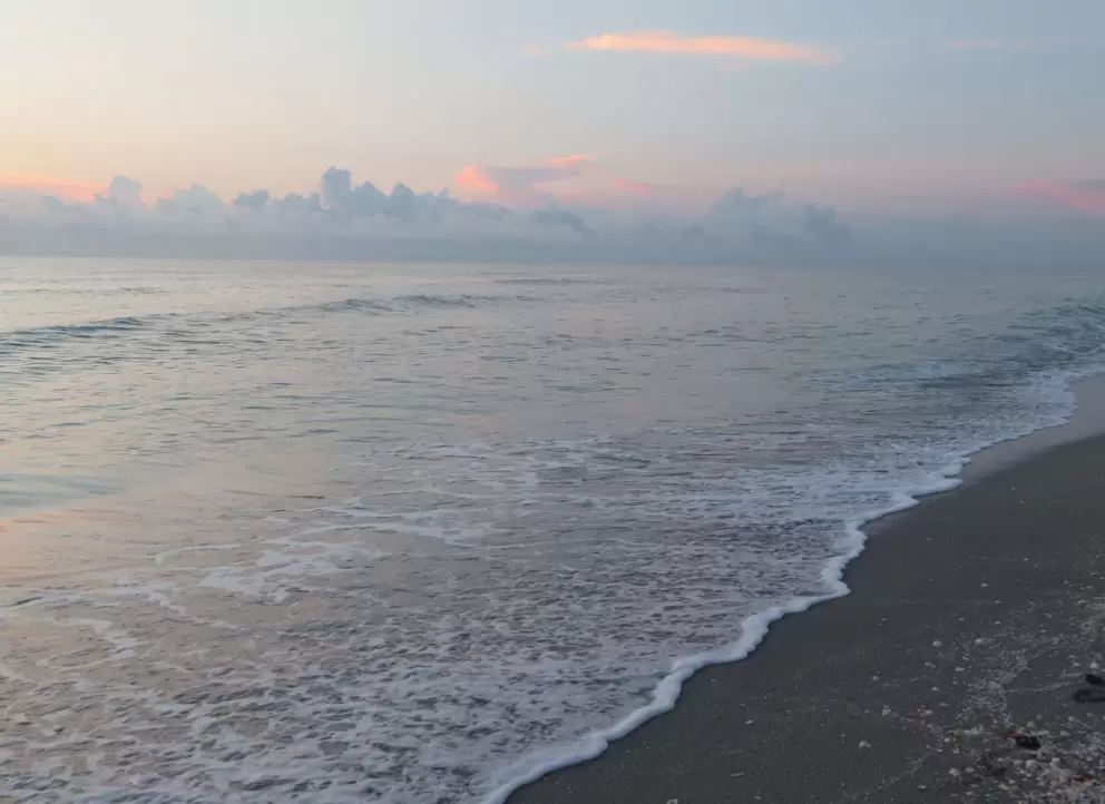 Shoreline at sunrise.