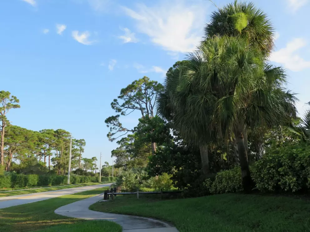 Winding path along Gomez Ave.