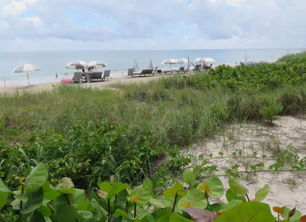 View of the beach from Drift Kitchen.
