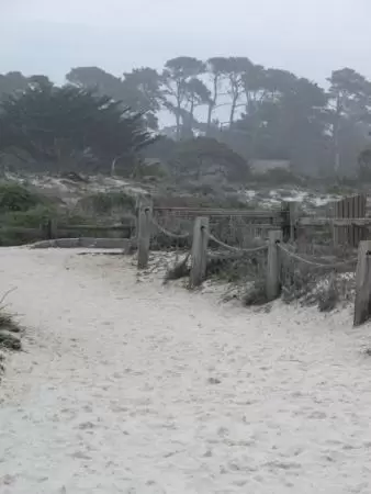 Asilomar Beach and Conference Center