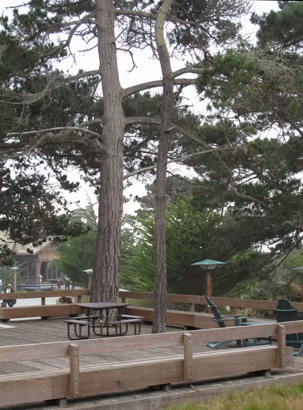 Giant wooden patio.