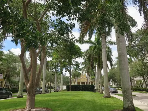 Lawn and clocktower on Royal Palm Circle, at Botanica development. 