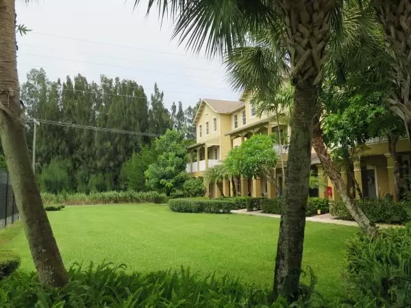Green lawn and back ironwood trees at Botanica development.