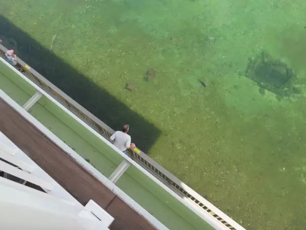 Looking at the lagoon from the shade of the building.