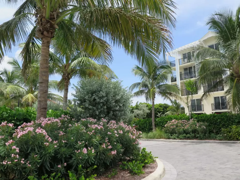 Colorful landscaping at the entrance to Hutchinson Shores Resort. I love it!