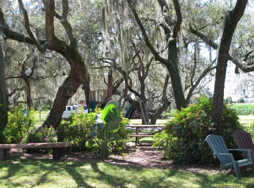 The pretty garden area.
