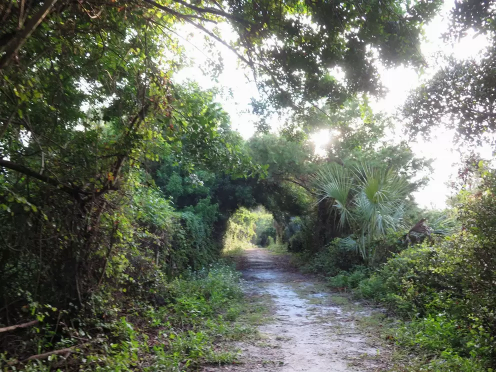 Archway in the trail.