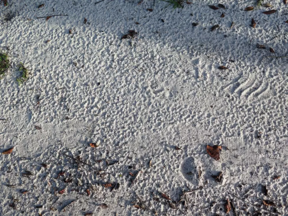 The beautiful white sand!