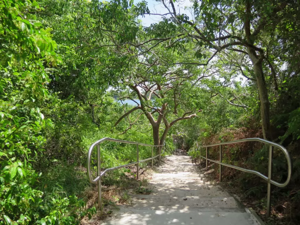 The path down to the beach.