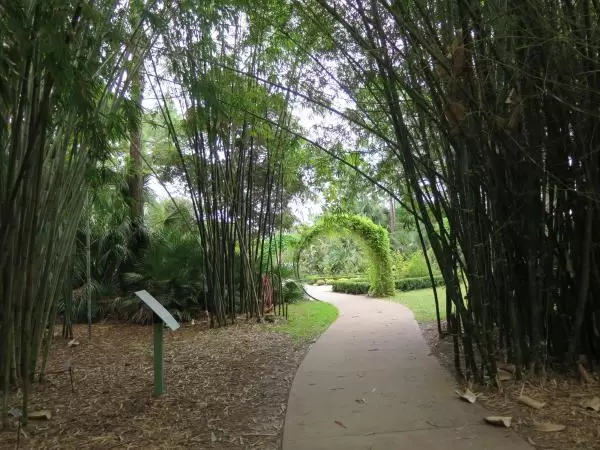 Winding path through the bamboo to an arch.