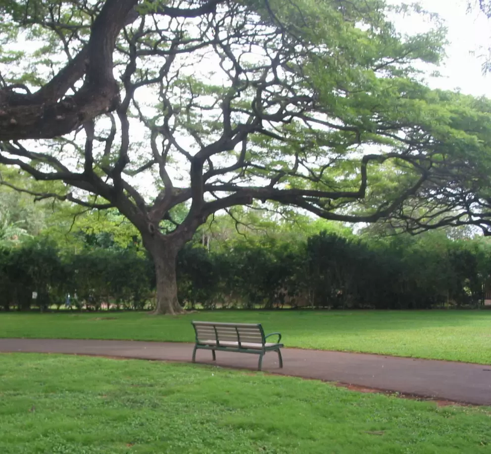 A bench where you can take a break.