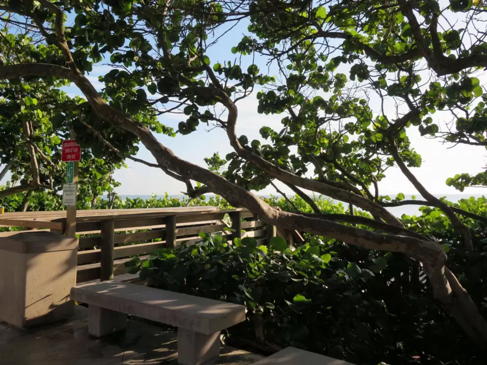 A beach entrance along Ocean Drive. 