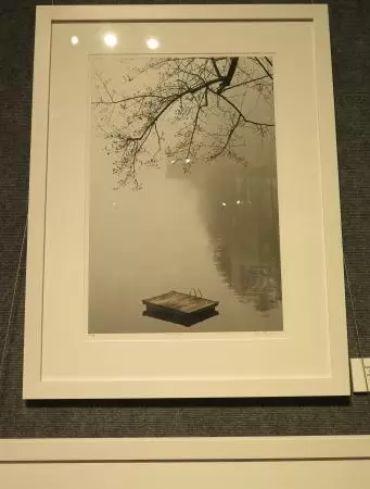 Emerging, by Debbie Rubin, a photograph at Lighthouse ArtCenter Gallery &amp; 2D Studio.