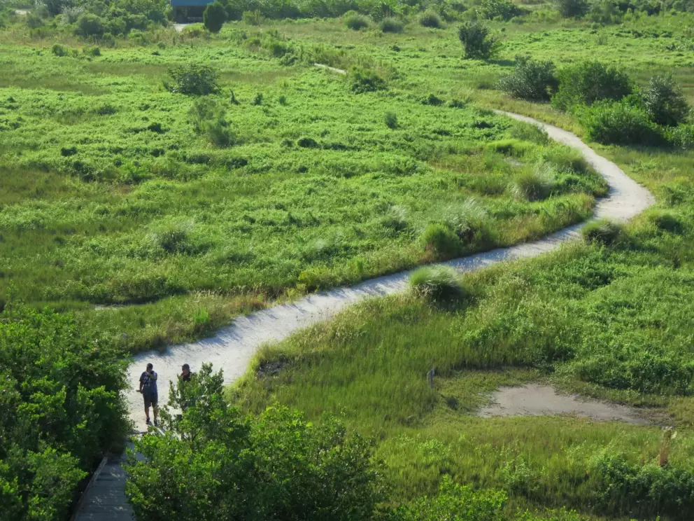 Winding path, seen from the tower.