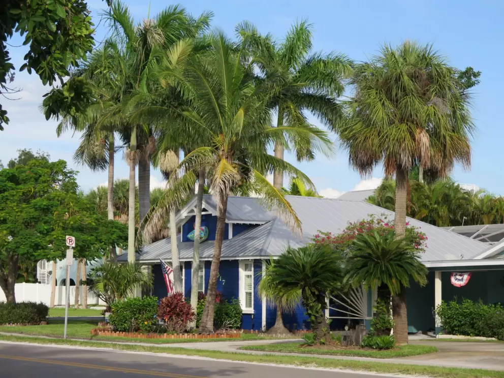 Cute royal blue house and coconut trees.