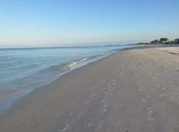 Looking north up the beach.