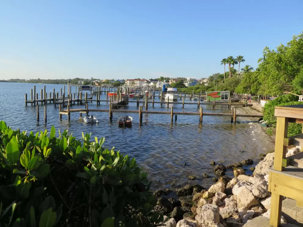 Cute view at the base of the pier.