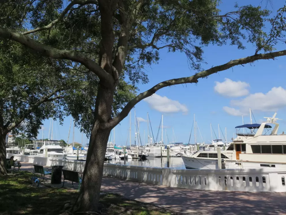 Twin Dolphin Marina is a shady spot to walk on the west end of the Riverwalk.