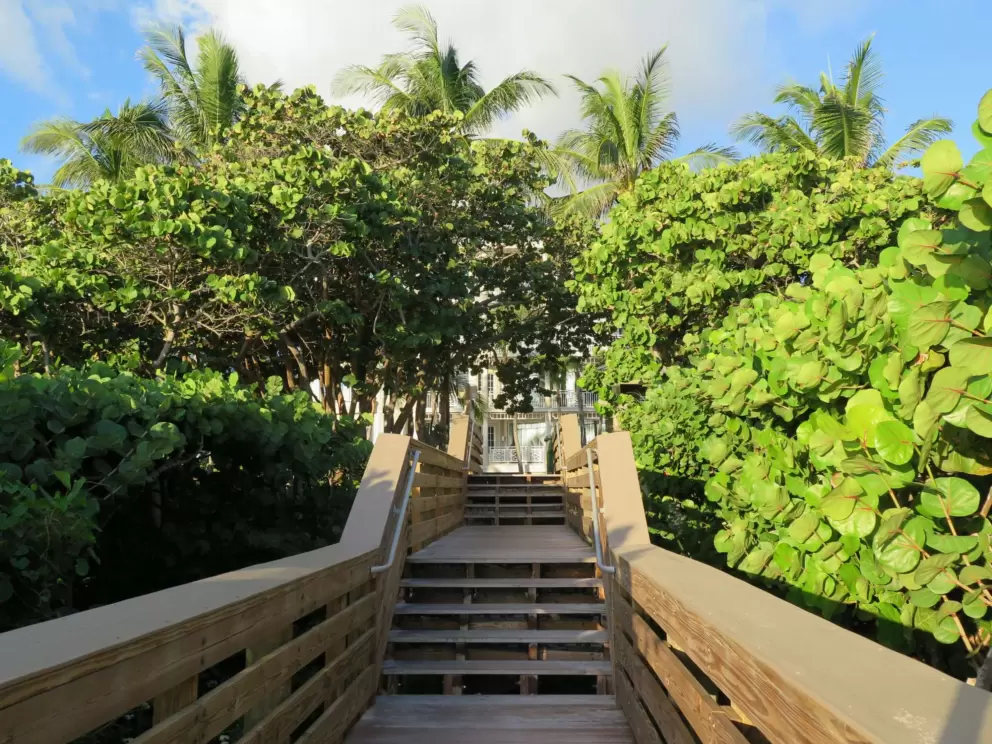Beach entrance stairs in the morning light.