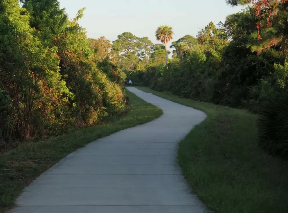 Shady walk.
