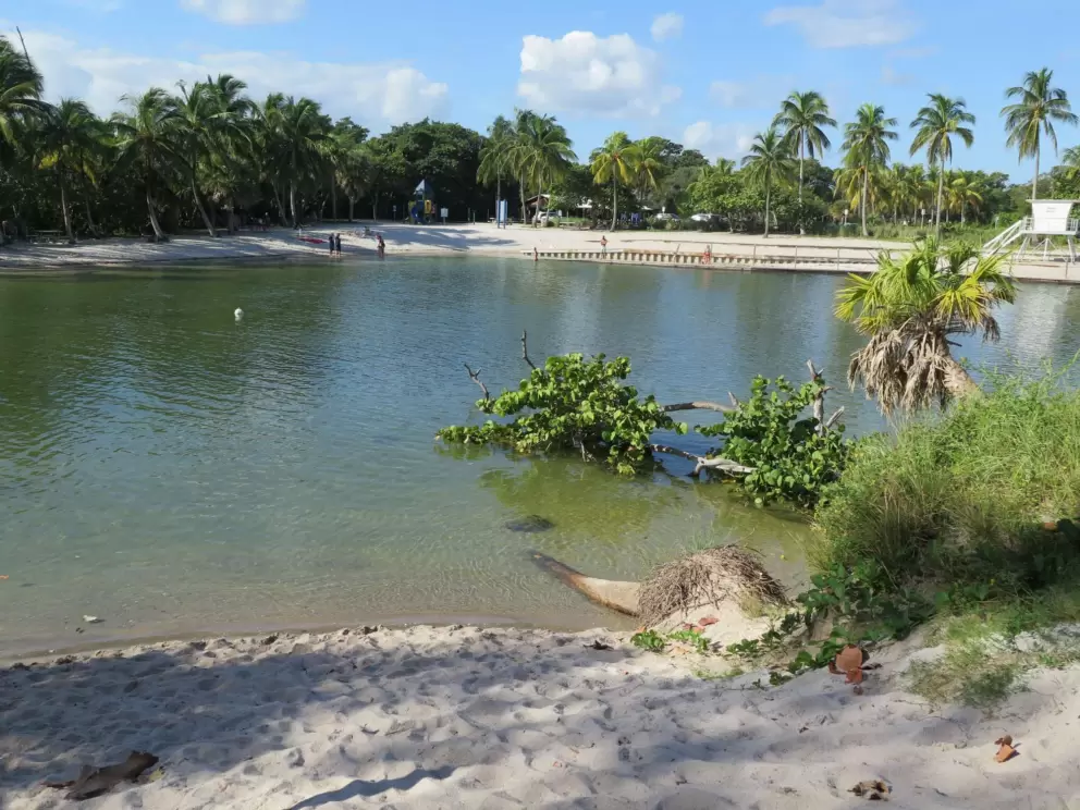 The lagoon. 